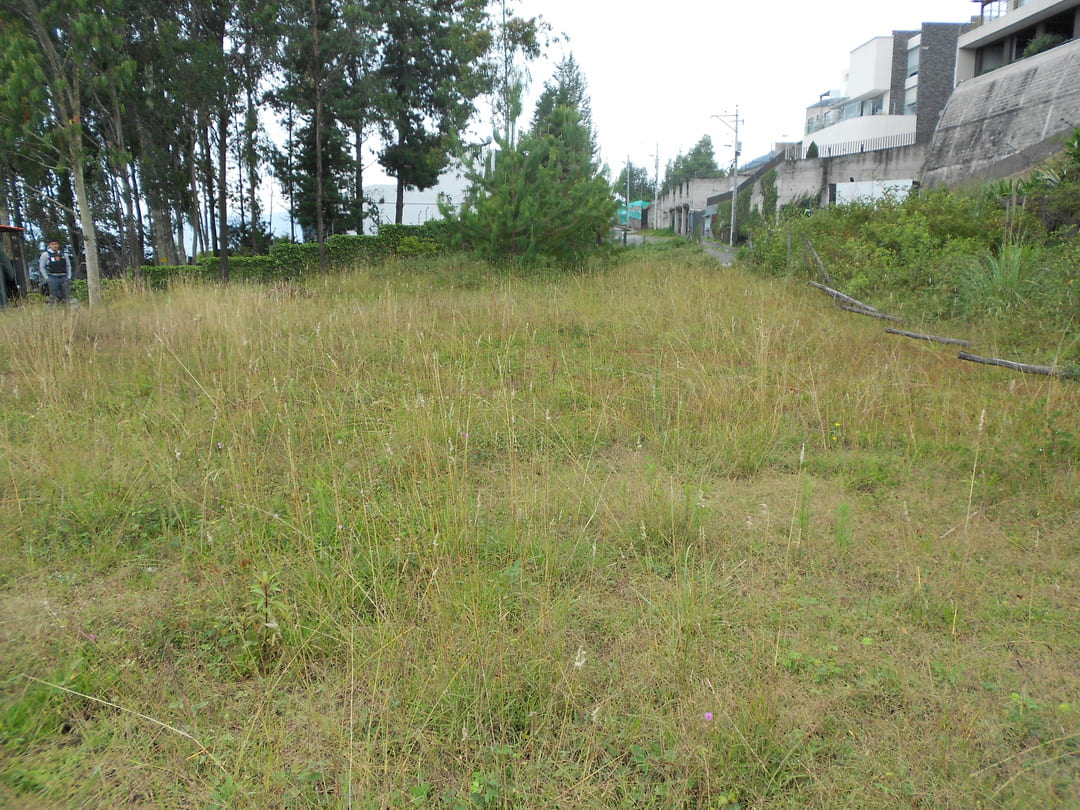 Land in Cumbaya - Yanazarapata 1570 m2
