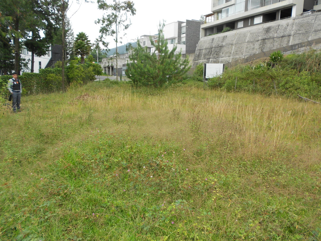 Land in Cumbaya - Yanazarapata 1570 m2