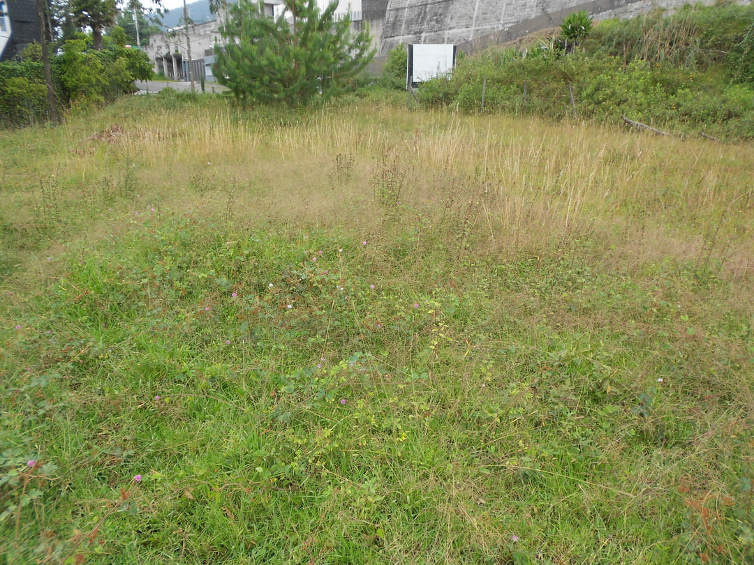 Land in Cumbaya - Yanazarapata 1570 m2