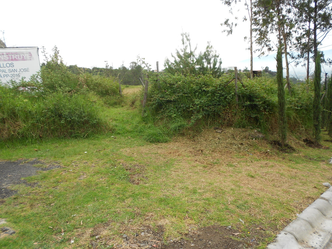 Land in Cumbaya - Yanazarapata 1570 m2