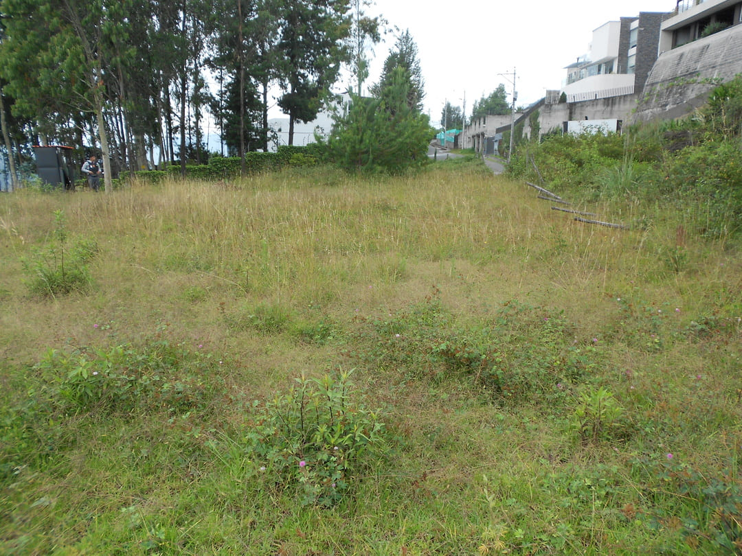 Land in Cumbaya - Yanazarapata 1570 m2