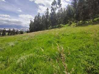 Farm in Cayambe 12 ha