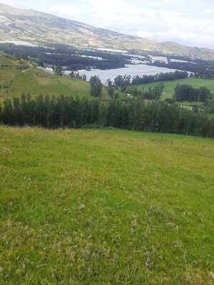 Farm in Cayambe 12 ha