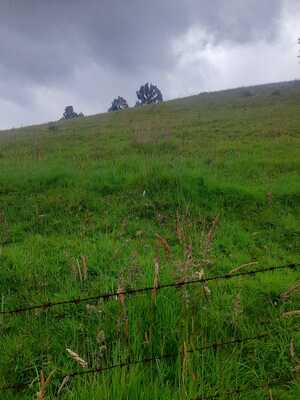 Farm in Cayambe 12 ha