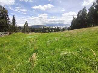 Farm in Cayambe 12 ha
