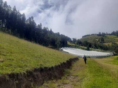 Farm in Cayambe 12 ha