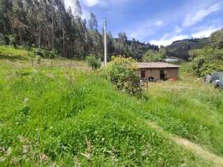 Farm in Cayambe 12 ha