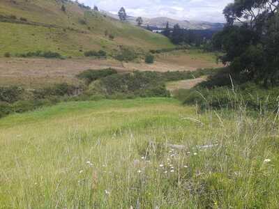 Farm in Cayambe 12 ha