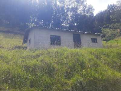 Farm in Cayambe 12 ha