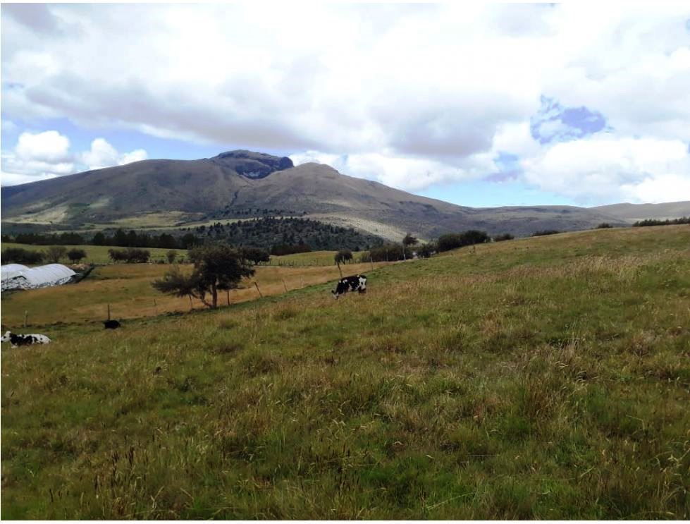 Farm in Carchi 900 ha