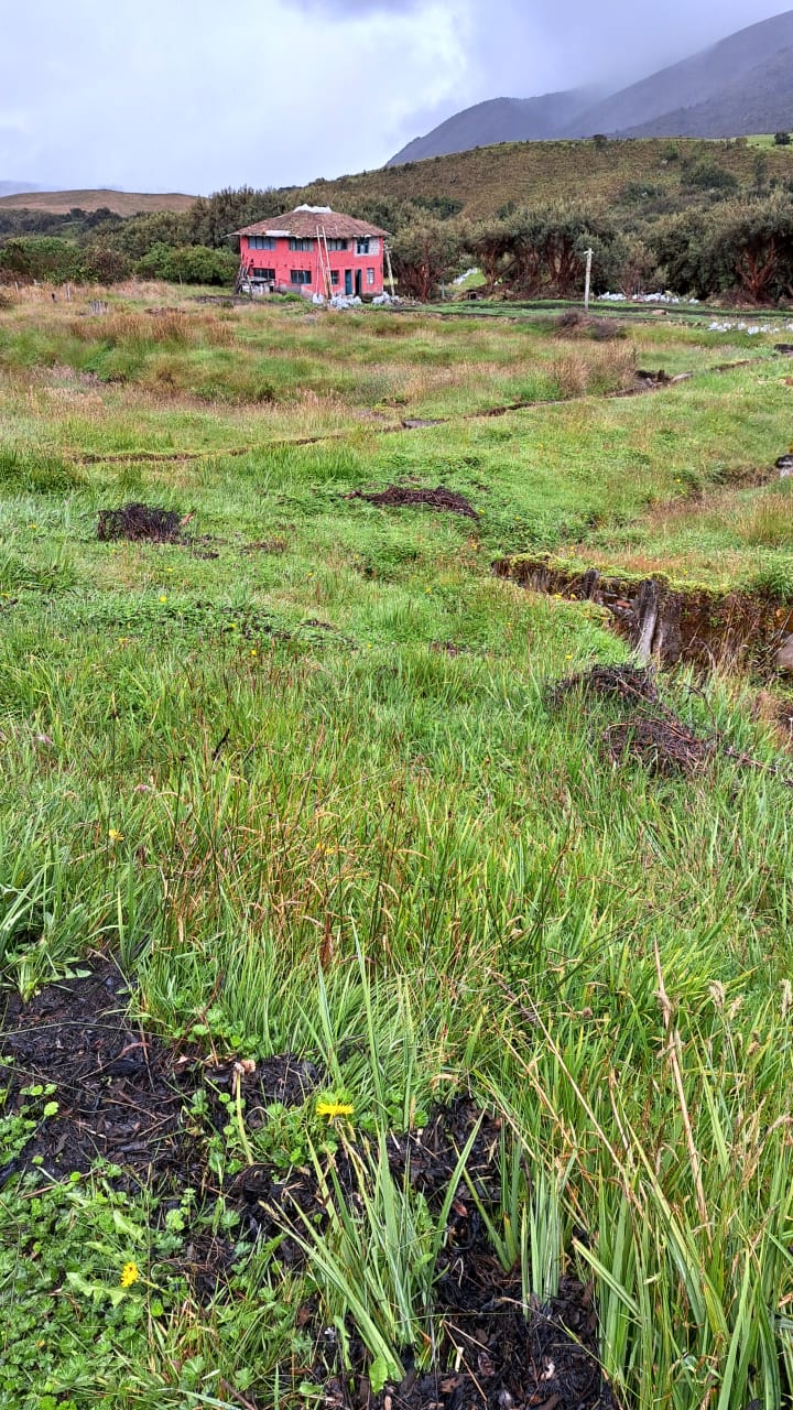 Farm in Carchi 900 ha