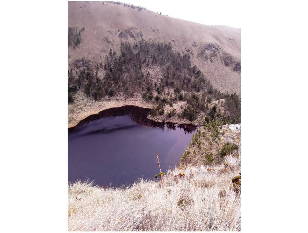 Farm in Carchi 900 ha