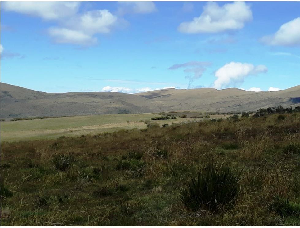 Farm in Carchi 900 ha