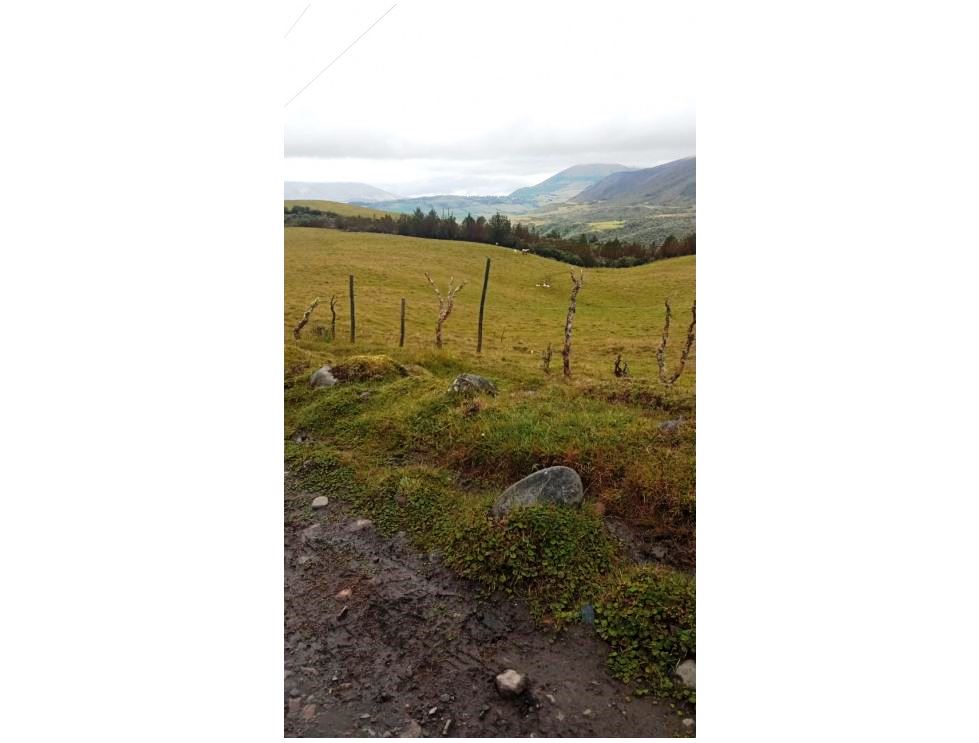 Farm in Carchi 900 ha