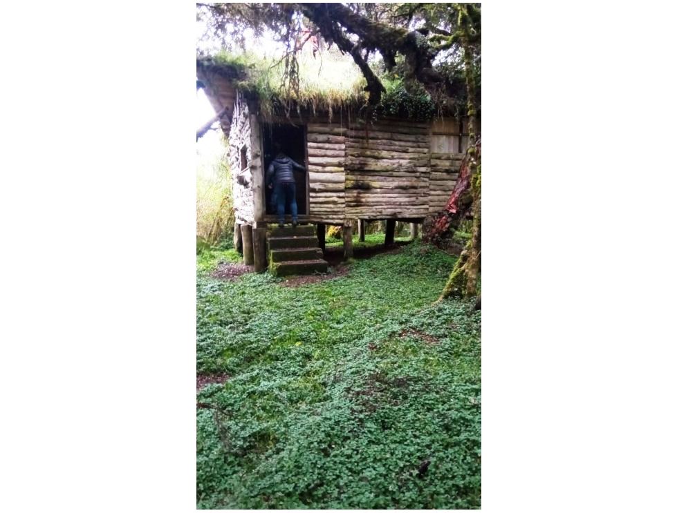 Farm in Carchi 900 ha