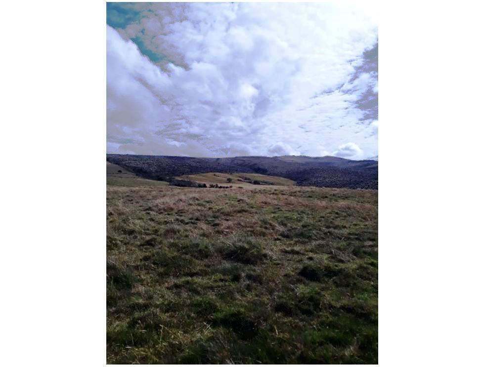 Farm in Carchi 900 ha