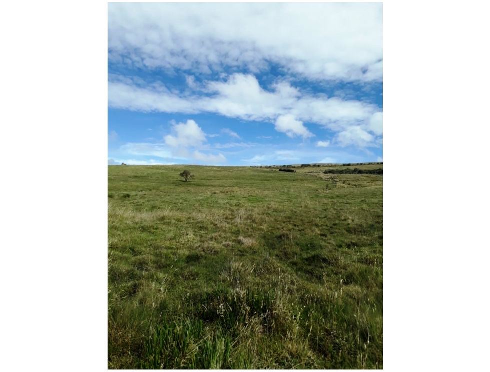 Farm in Carchi 900 ha