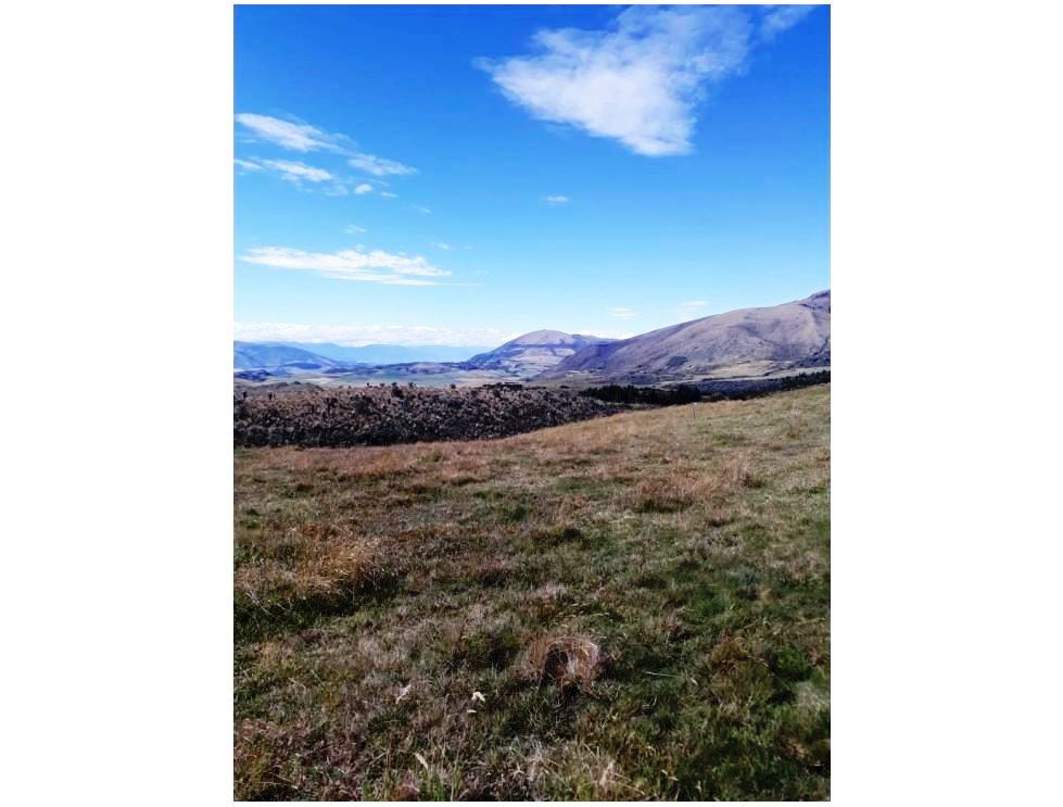 Farm in Carchi 900 ha