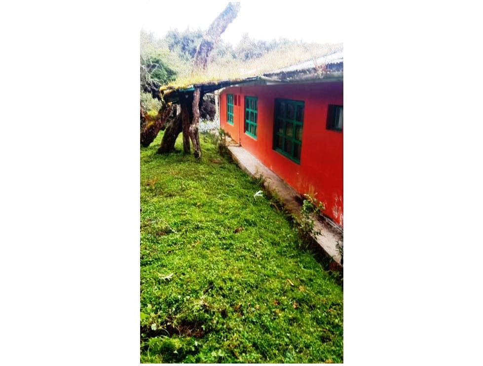 Farm in Carchi 900 ha