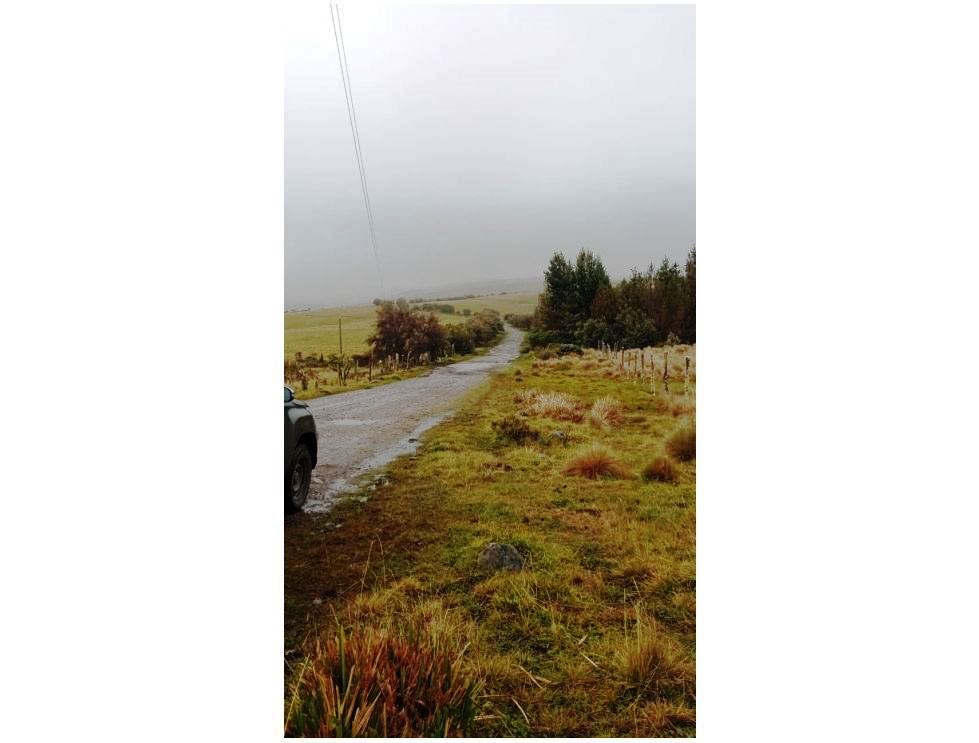Farm in Carchi 900 ha