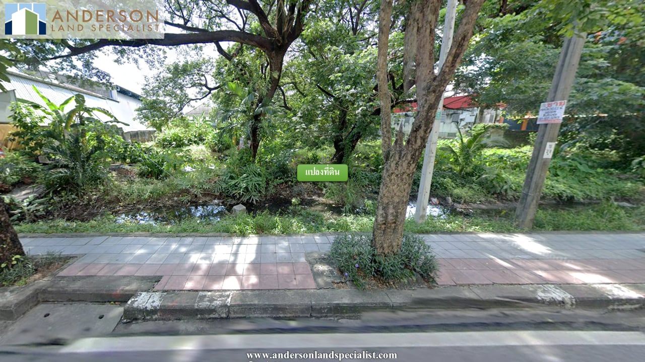 ซอยสุขุมวิท 50 (810 ตร.ว.) ภาพที่ 3