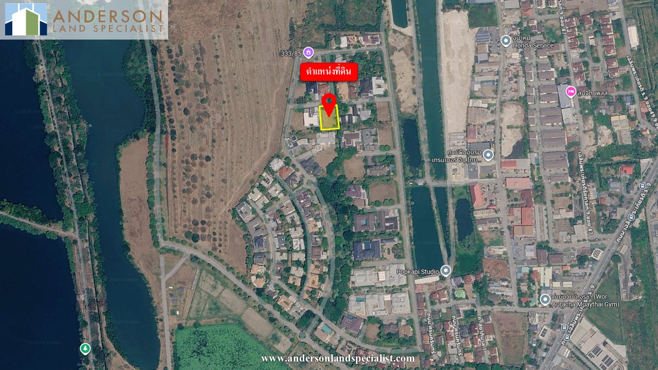 เฉลิมพระเกียรติ ร.9 บ้านไม้ล้อมเรือน
