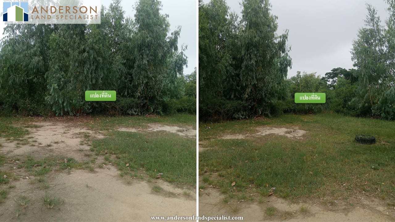 ที่ดินริมน้ำซอยคอนโด 3 ใจกลางเมืองระยอง (1,560.50 ตร.ว.) ภาพที่ 3