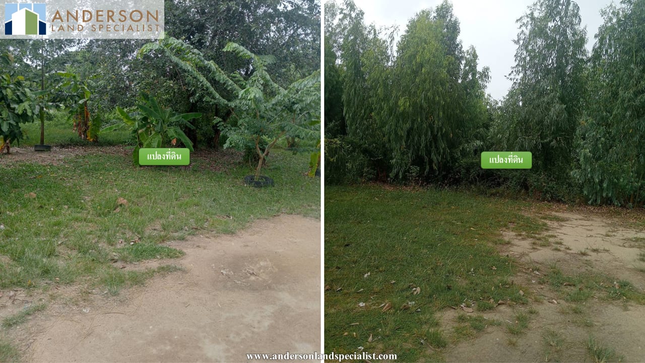 ที่ดินริมน้ำซอยคอนโด 3 ใจกลางเมืองระยอง (1,560.50 ตร.ว.) ภาพที่ 5