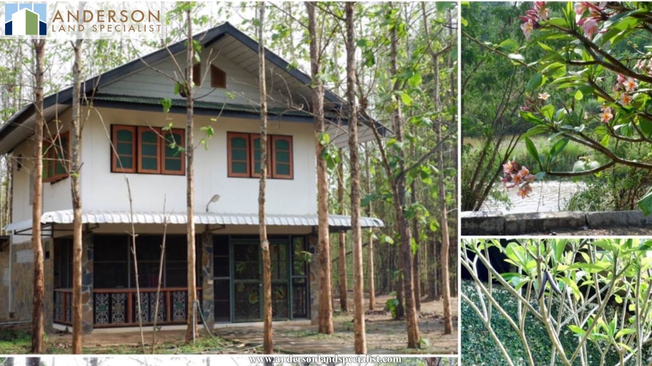 ที่ดินพร้อมบ้านติดแม่น้ำปิง สันทราย (เชียงใหม่) ภาพที่ 2
