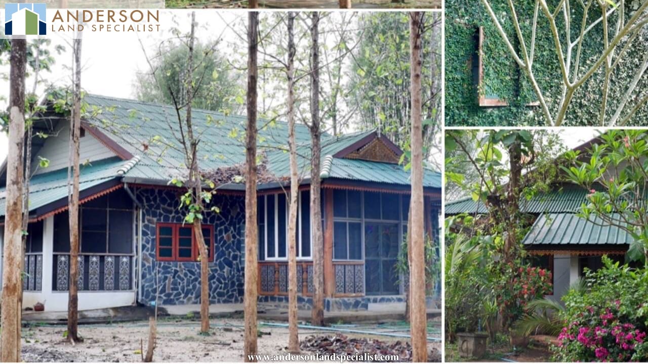 ที่ดินพร้อมบ้านติดแม่น้ำปิง สันทราย (เชียงใหม่) ภาพที่ 3