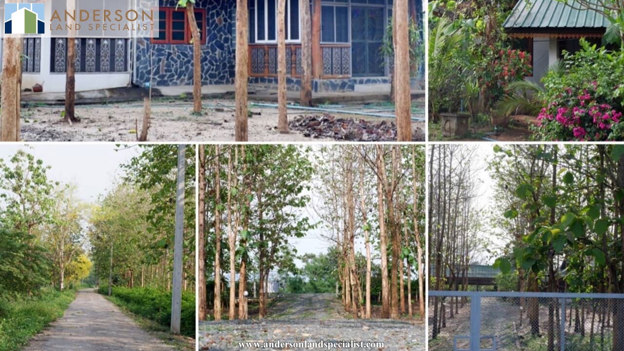 ที่ดินพร้อมบ้านติดแม่น้ำปิง สันทราย (เชียงใหม่) ภาพที่ 4
