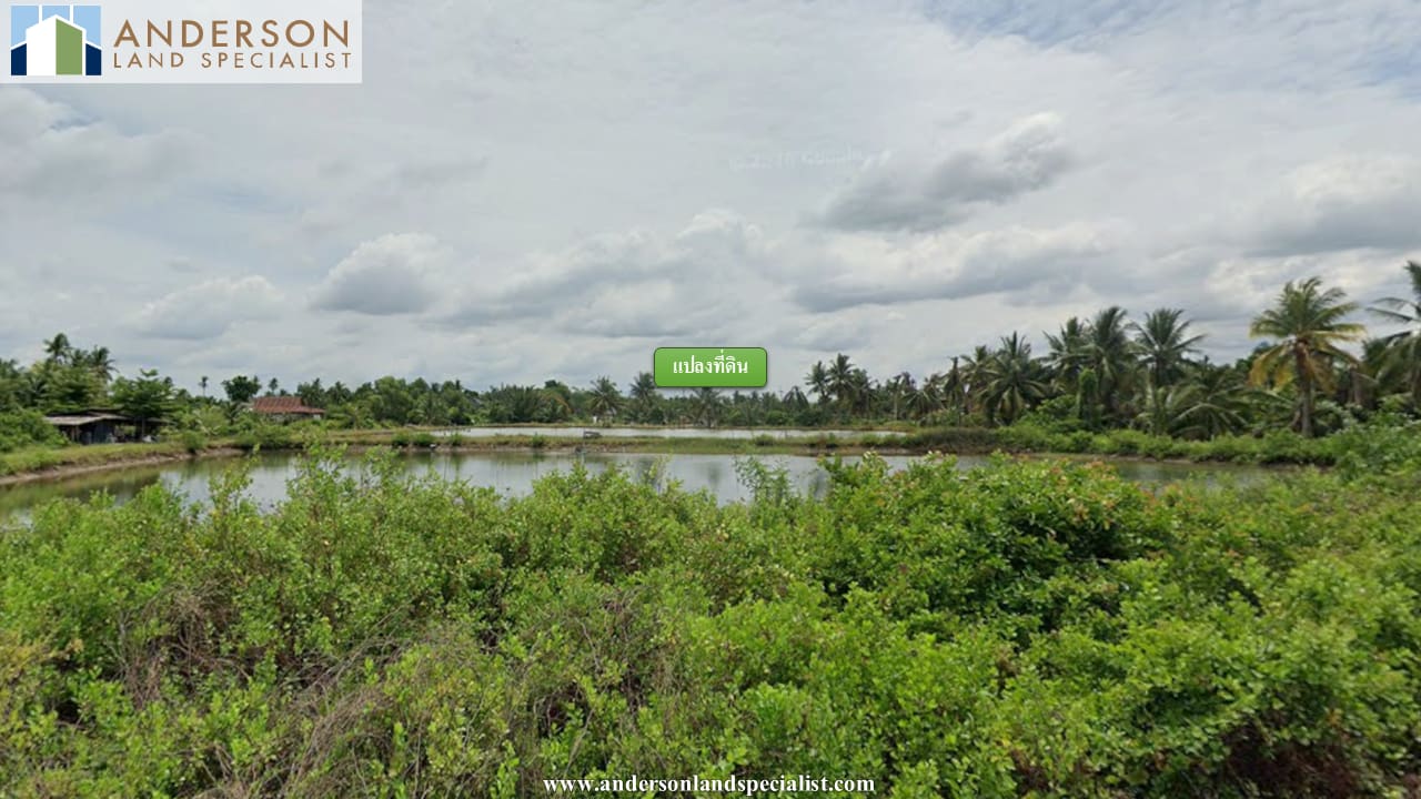 ที่ดินถนนเลี่ยงเมืองฉะเชิงเทรา (4,664 ตร.ว.)ติดถนนใหญ่ ใกล้แม่น้ำบางปะกง ภาพที่ 3