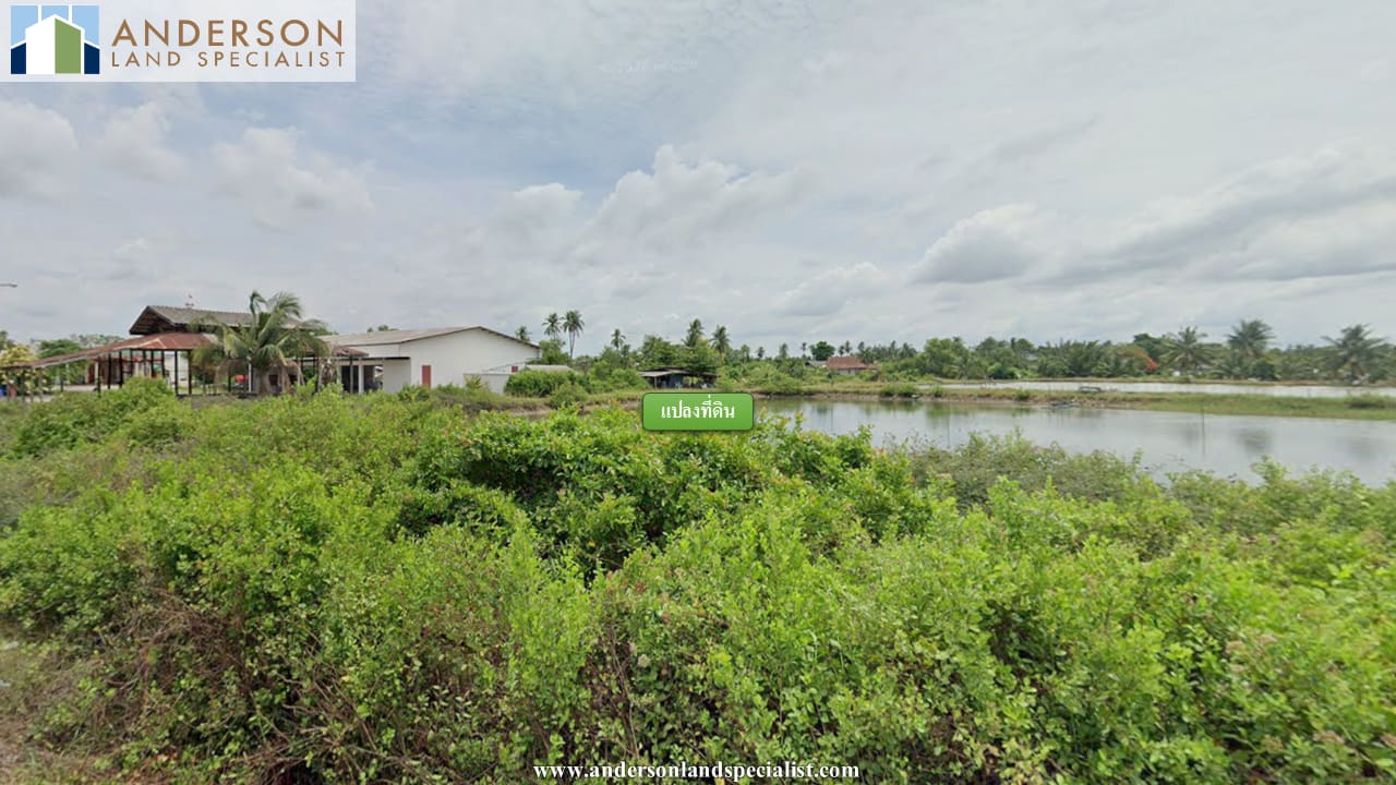 ที่ดินถนนเลี่ยงเมืองฉะเชิงเทรา (4,664 ตร.ว.)ติดถนนใหญ่ ใกล้แม่น้ำบางปะกง ภาพที่ 5
