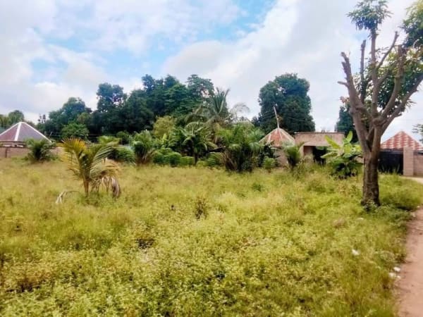 Additional view of Sharp Land for Sale