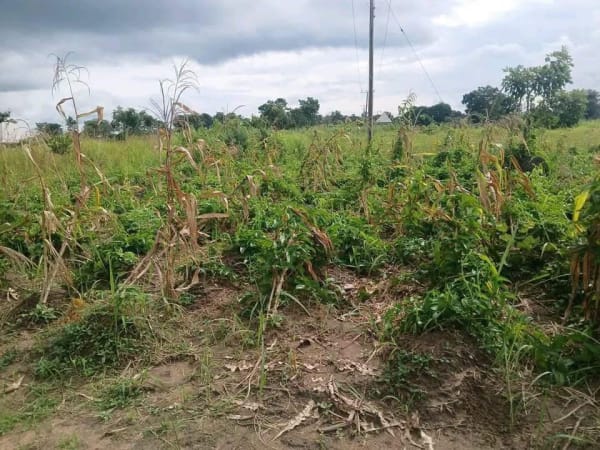 Additional view of Spacious Land Facing Former Ter Makurdi Road