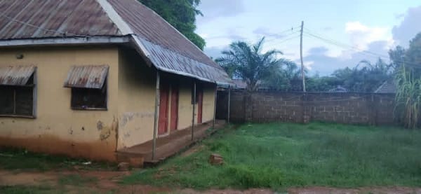 Additional view of Students Apartment for Sale