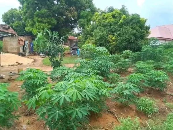 Additional view of 100x100 Land for Sale