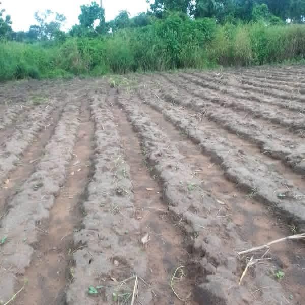 Additional view of Residential Land at Welfare Quarters