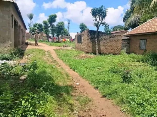 Additional view of Uncompleted One Bedroom Apartments