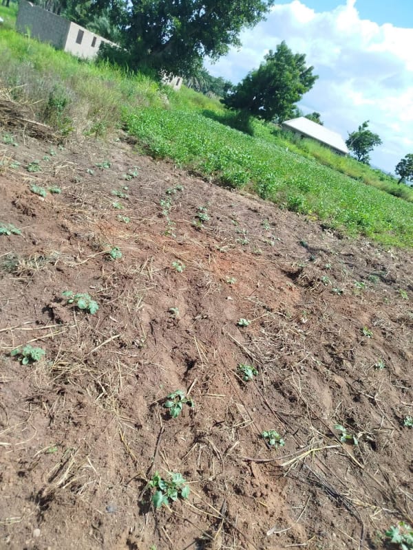 Additional view of Residential Land Facing Tared Road
