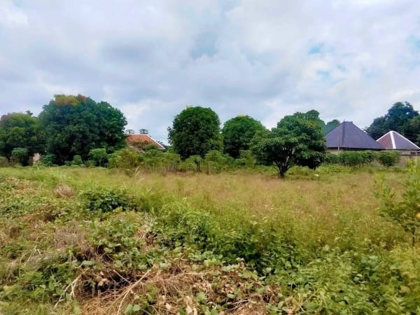 Additional view of Sharp Land for Sale