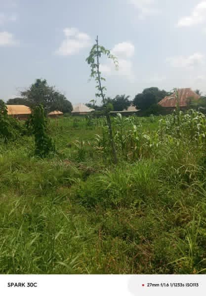 Additional view of Prime Land at CBN Layout