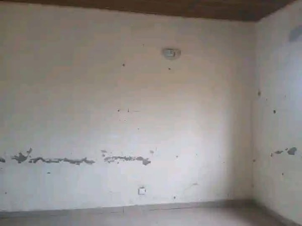 Additional view of Renovated One Bedroom Flat Apartment