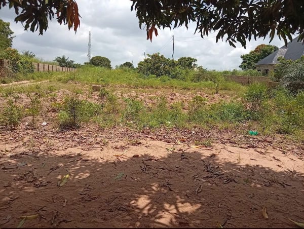 Additional view of Upland Plot For Sale