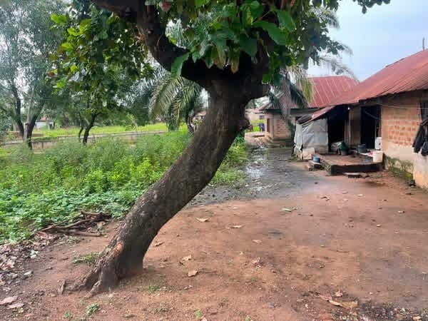 Additional view of Commercial Plot for Sale