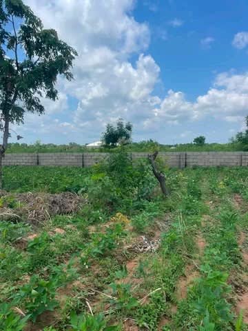Additional view of Spacious Land at Welfare Quarters