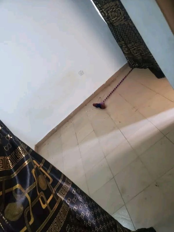 Additional view of Newly Built Single Room Self-Contain