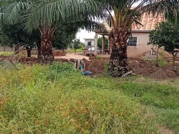 Land For Sale for sale in Off Bright Star Academy, Ajaba - Deeper Life- International Market Road, Makurdi, Benue