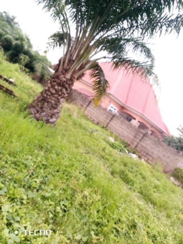 Standard Plot of Land for Sale for sale in Behind international Market, Makurdi, Benue