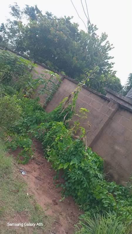 Additional view of Fenced Plot of Land at Yaikyor